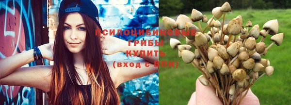 каннабис Фёдоровский