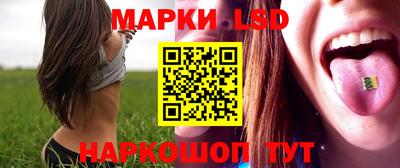 меф Гатчина