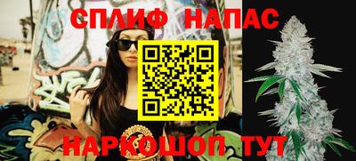 меф Гатчина