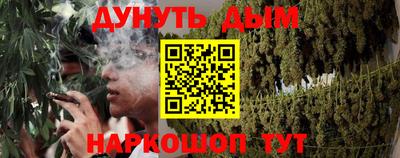 меф Гатчина