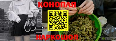 кокс Гай