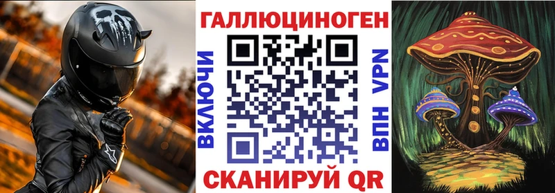 mega как войти  Костомукша  Галлюциногенные грибы MAGIC MUSHROOMS 