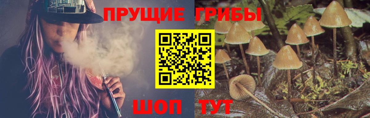 купить  сайты  Вход с VPN  Костомукша  Псилоцибиновые грибы Magic Shrooms 